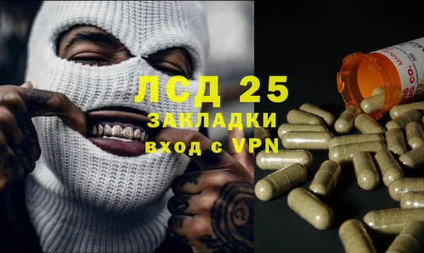 сатива Алзамай
