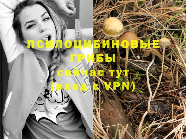 ГАЛЛЮЦИНОГЕННЫЕ ГРИБЫ Алексеевка