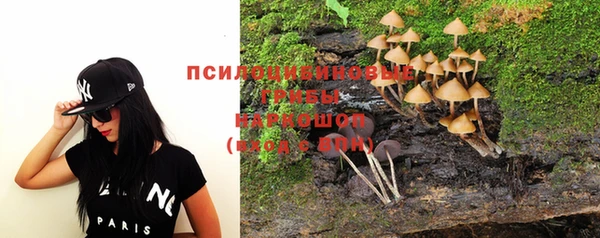 ГАЛЛЮЦИНОГЕННЫЕ ГРИБЫ Алексеевка