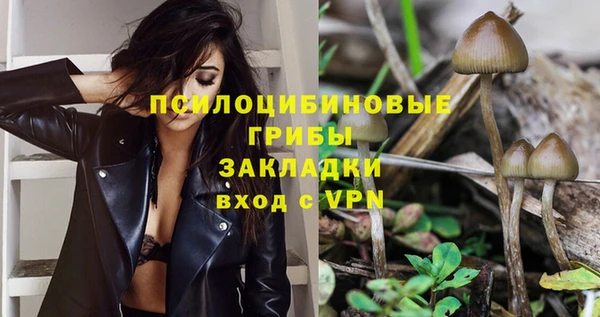 сатива Алзамай