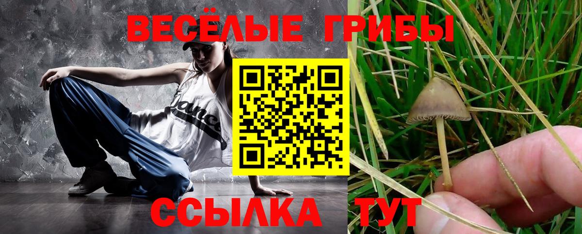 Псилоцибиновые грибы ЛСД  Вход с VPN  Лабытнанги  Псилоцибиновые грибы GOLDEN TEACHER 