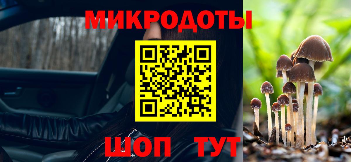 Псилоцибиновые грибы мицелий Лабытнанги